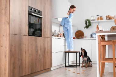 Sevimli cocker spanyel ve dağınık kurabiyeli küçük çocuk mutfakta.