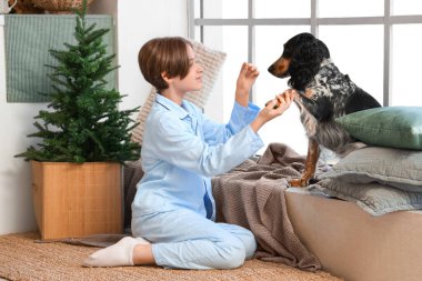 Küçük çocuk mutfaktaki pencerenin yanında Cocker Spaniel 'le oynuyor.