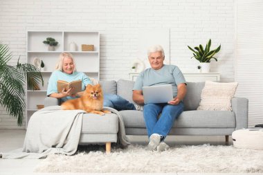 Evdeki koltukta oturan sevimli Pomeranya köpekli mutlu son sınıf çifti.