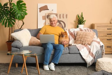 Pomeranya köpeği ve dizüstü bilgisayarıyla evdeki kanepede oturan mutlu son sınıf öğrencisi.