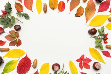 Kestane, meşe palamudu ve beyaz arka planda gül böğürtlenli güz yapraklarından yapılmış çerçeve.