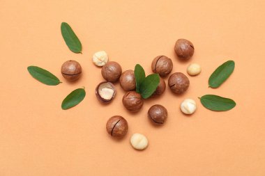 Lezzetli fındık ve turuncu arka planda yapraklar.