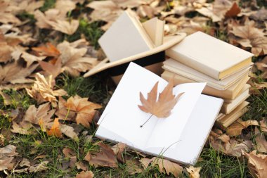 Sonbahar parkında çimlerin üzerinde kitaplar ve şapkalar, yakın plan.