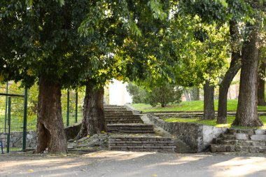 Güneşli bir günde güzel bir sonbahar parkında merdivenler