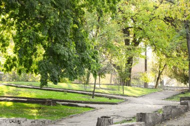 Güneşli bir günde ağaçların ve sokakların olduğu güzel bir sonbahar parkı