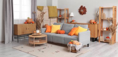 Gri kanepeli, raf üniteli ve balkabaklı oturma odasının içi.