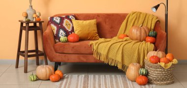 Oturma odasının içinde turuncu kanepe ve farklı balkabaklarıyla hasır sepet var.