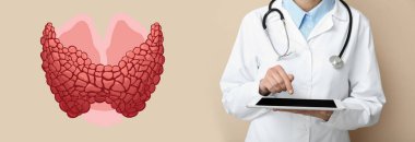 Tablet bilgisayarlı kadın endokrinolog ve bej arkaplana tiroit bezi çizmiş.