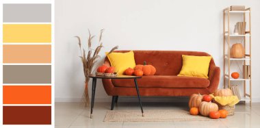 Koltuk, masa ve raflar. Oturma odasında balkabakları var. Farklı renk desenleri