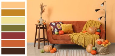 Turuncu kanepe ve farklı balkabaklarıyla oturma odasının içinde. Farklı renk desenleri