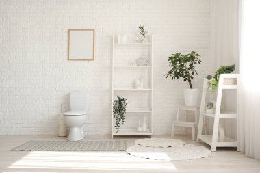 Tuvaletin içinde klozet, raf üniteleri ve bitkiler var.