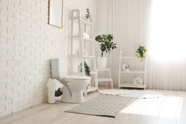 Tuvaletin içinde klozet, raf üniteleri ve bitkiler var.