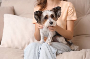 Evdeki kanepede oturan sevimli Terrier köpeği olan genç bir kadın.