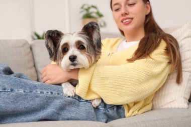 Biewer Terrier köpeğiyle evdeki kanepede uzanmış genç bir kadın.