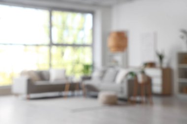 Gri kanepeler, raf ünitesi ve bitkilerle aydınlık oturma odasının bulanık görüntüsü