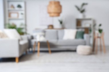 Gri kanepeler, raf üniteleri ve bitkilerle aydınlık oturma odasının bulanık görüntüsü