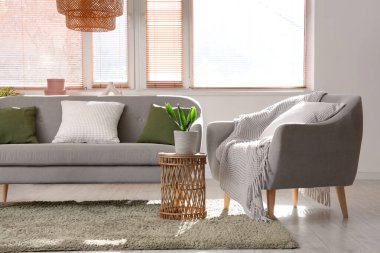 Gri kanepesi, koltuğu ve penceresi olan bir oturma odası.