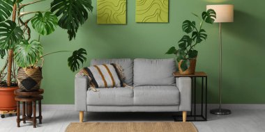 Canavar çiçekleri, yer lambası ve yeşil duvarın yanındaki gri kanepe.