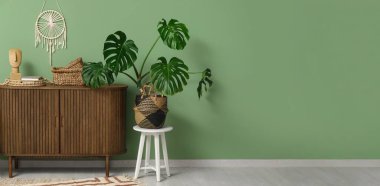 Canavar bitkisi ve yeşil duvarın yanında dekorlu ahşap çekmeceler. Tasarım için pankart