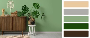 Yeşil duvarın yanında dekoru olan çekmeceler ve canavar bitkisi. Farklı renk desenleri