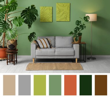 Canavar çiçekleri, parlayan lamba ve yeşil duvarın yanındaki gri kanepe. Farklı renk desenleri