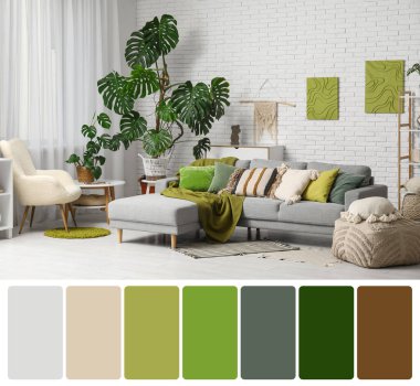 Oturma odasının içindeki gri kanepeli Monstera bitkileri. Farklı renk desenleri