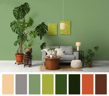 Canavar çiçekleri, ahşap masa ve yeşil duvarın yanındaki gri kanepe. Farklı renk desenleri