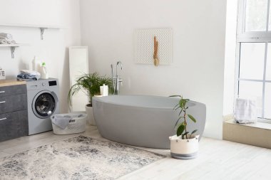 İçinde gri küvet, ev bitkileri ve çamaşır makinesi olan hafif banyonun içi.