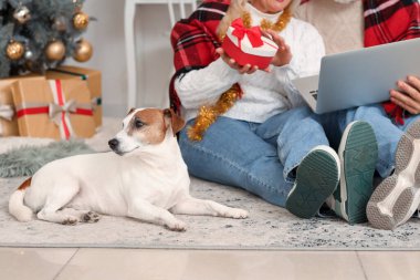 Noel arifesinde evde olgun bir çiftle Jack Russell Terrier.