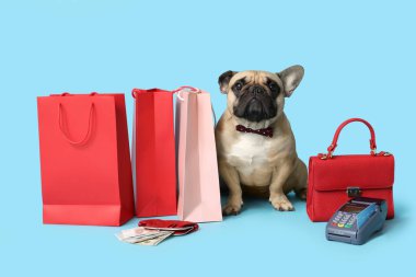 Cüzdanı, alışveriş çantaları, ödeme terminali ve mavi arka planda çantası olan sevimli Fransız bulldog.