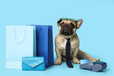 Güneş gözlüklü ve kravatlı şirin Fransız bulldog 'u mavi arka planda alışveriş çantaları, cüzdan ve ödeme terminalinin yanında oturuyor.