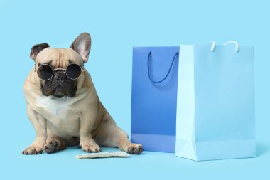 Güneş gözlüklü ve paralı şirin Fransız bulldog 'u mavi arka planda alışveriş torbalarının yanında oturuyor.