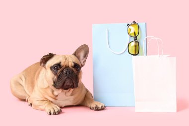 Alışveriş torbaları ve pembe arka planda güneş gözlüğü olan sevimli Fransız bulldog 'u.