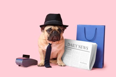 Şapkası, kravatı, ödeme terminali, gazetesi ve pembe arka planda alışveriş çantası olan sevimli Fransız bulldog 'u.