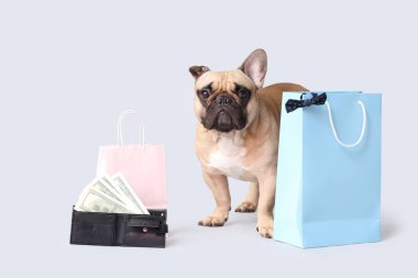 Beyaz arka planda parası olan, yay, alışveriş torbaları ve cüzdanı olan sevimli bir Fransız bulldog.