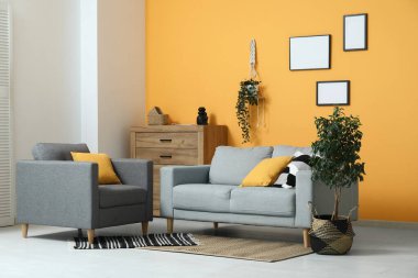 Koltuk, rahat kanepe ve oturma odasının iç tarafındaki saksı.