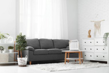 Konforlu kanepe kahve masası, ev bitkisi ve çekmeceler oturma odasında.