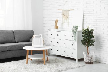 Konforlu kanepe kahve masası, ev bitkisi ve çekmeceler oturma odasında.