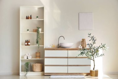 Lavabosu, rafı ve dekoratif ağacı olan çekmeceler.