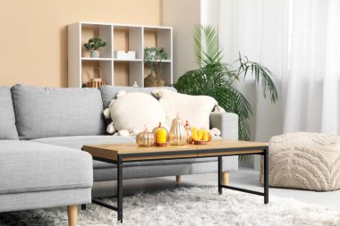 Masanın üzerinde kanepe ve dekoratif balkabaklarıyla oturma odasının içinde.