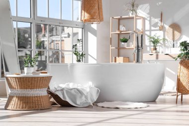 Banyonun içinde küvet, bitki ve paspas var.