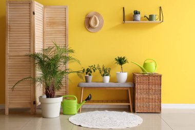 İçinde yeşil bitkiler, yumuşak bank ve sepet olan odanın içi.