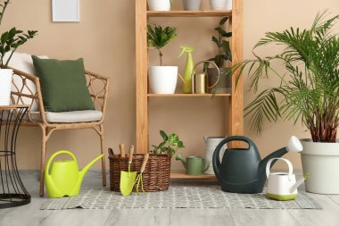 İçinde yeşil bitkiler, koltuk ve raf ünitesi olan bir oda.