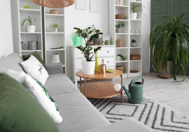 Oturma odasının içinde kanepe, bitki ve bahçe aletleri var.