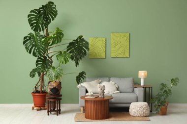 Monstera bitkileri, sehpa ve yeşil duvarın yanındaki kanepe.