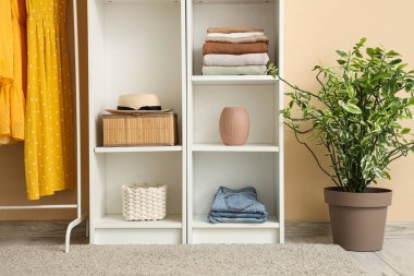 Elbiseli raf ünitesi ve renkli duvarın yanındaki güzel ev bitkisi.