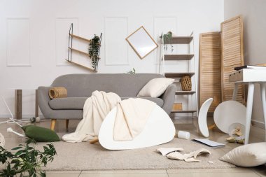 Kanepeli dağınık bir oturma odası. Depremden sonra mobilyaları ve eşyaları altüst etmiş.