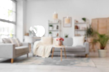 Gri kanepeleri, raf üniteleri ve bitkileri olan şık oturma odasının bulanık görüntüsü