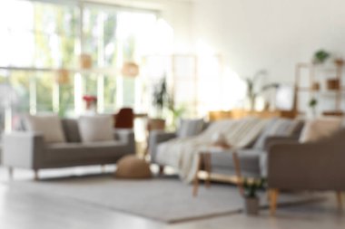 Gri kanepeler, katlanır ekran ve bitkiler ile oturma odasının bulanık görüntüsü