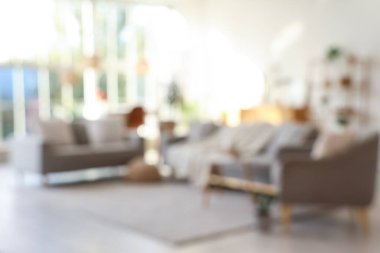 Gri kanepeler ve bitkilerle dolu oturma odasının bulanık görüntüsü